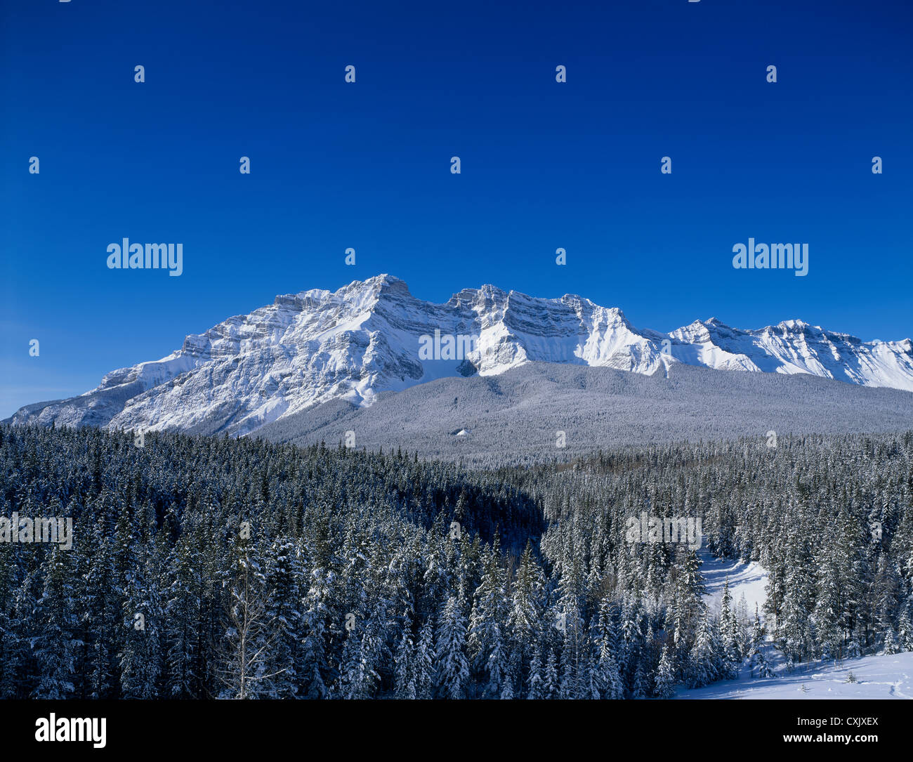 Cascade range in winter Stock Photo Alamy