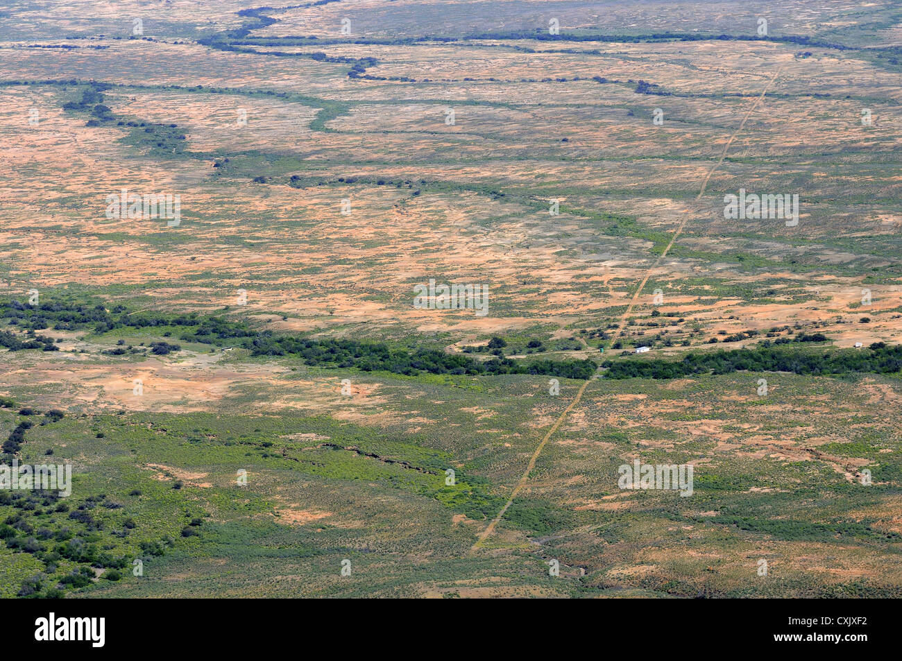 Knersvlakte plain, Namaqualand, South Africa Stock Photo