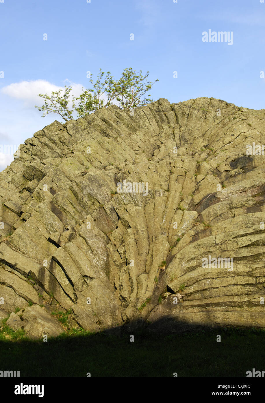 Geotope Palm frond, basalt outcrop, Germany Stock Photo