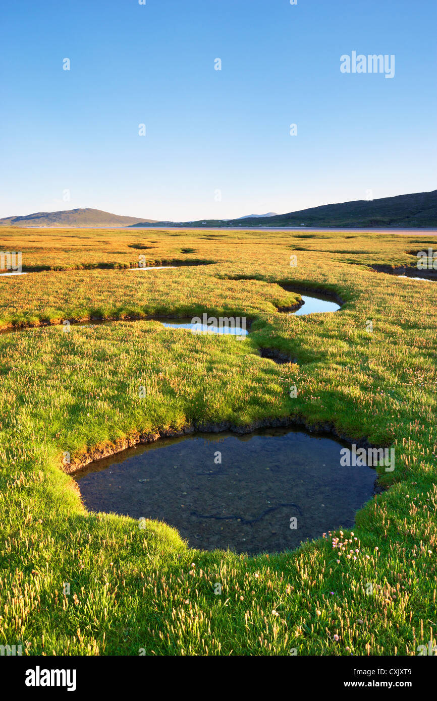 Tidal Pools in Salt Marsh, Isle of Harris, Outer Hebrides, Scotland Stock Photo