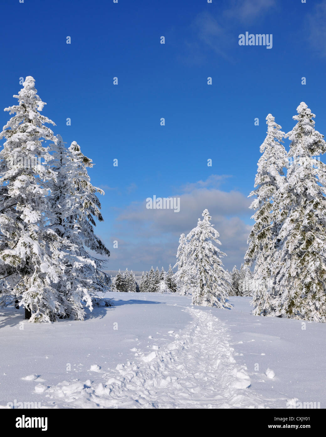 Snow Covered Winter Landscape with Trail, Grosser Beerberg, Suhl, Thuringia, Germany Stock Photo