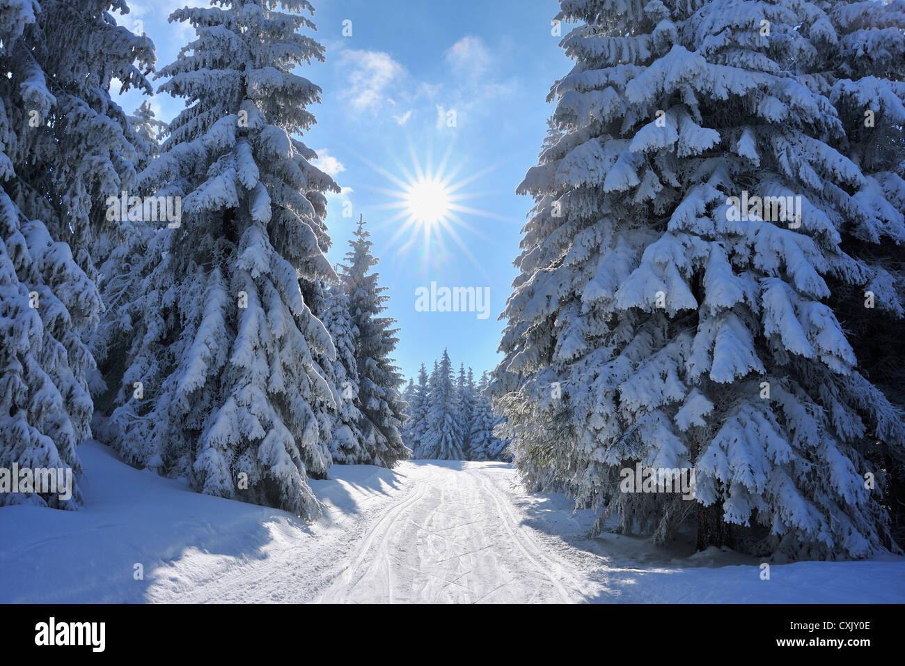 Snow Covered Winter Landscape with Ski Trail, Rennsteig, Grosser Beerberg, Thuringia, Germany Stock Photo