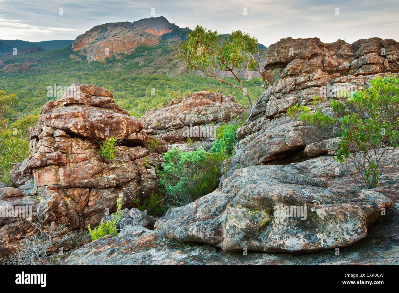 View from Mount Zero to Hollow Mountain in Grampians National Park. Stock Photo