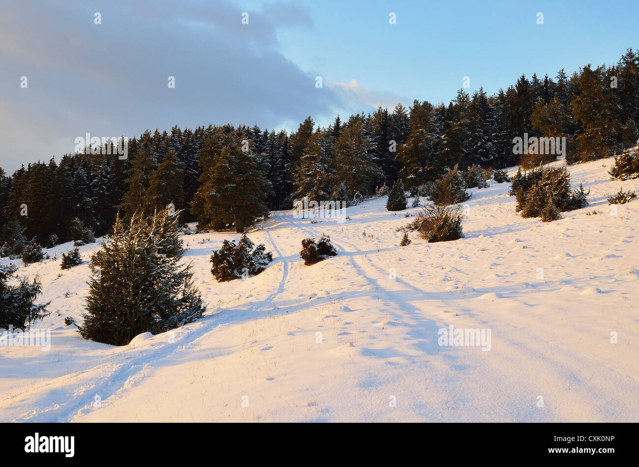 Winter Landscape near Villingen-Schwenningen, Black Forest, Baden-Wurttemberg, Germany Stock Photo