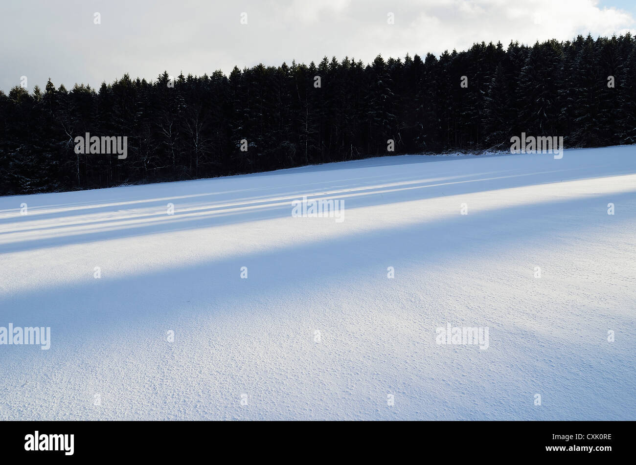 Winter Landscape near Villingen-Schwenningen, Black Forest, Baden-Wurttemberg, Germany Stock Photo