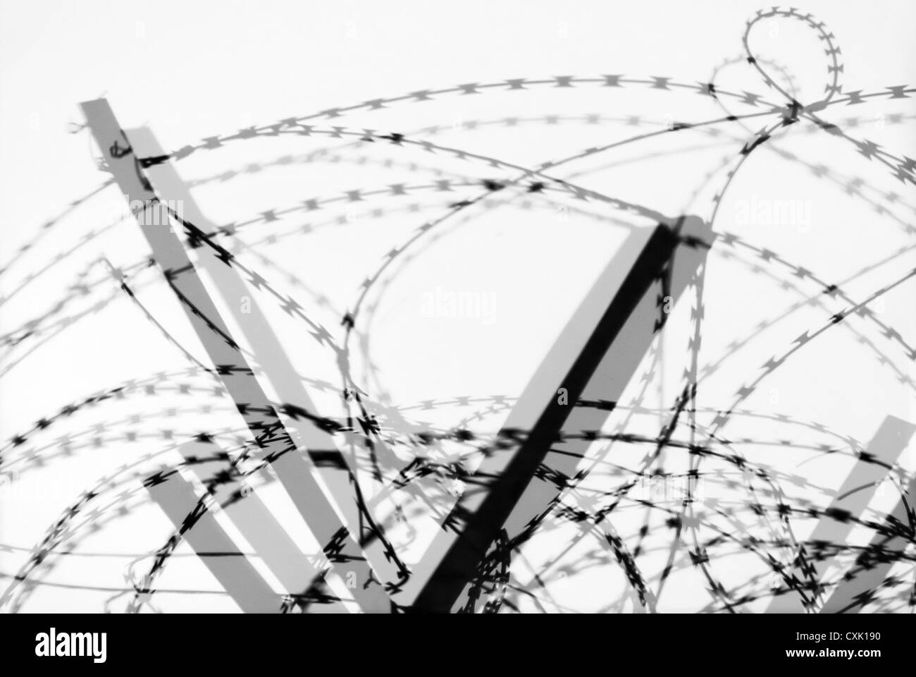 Barbed wire and reflection Stock Photo