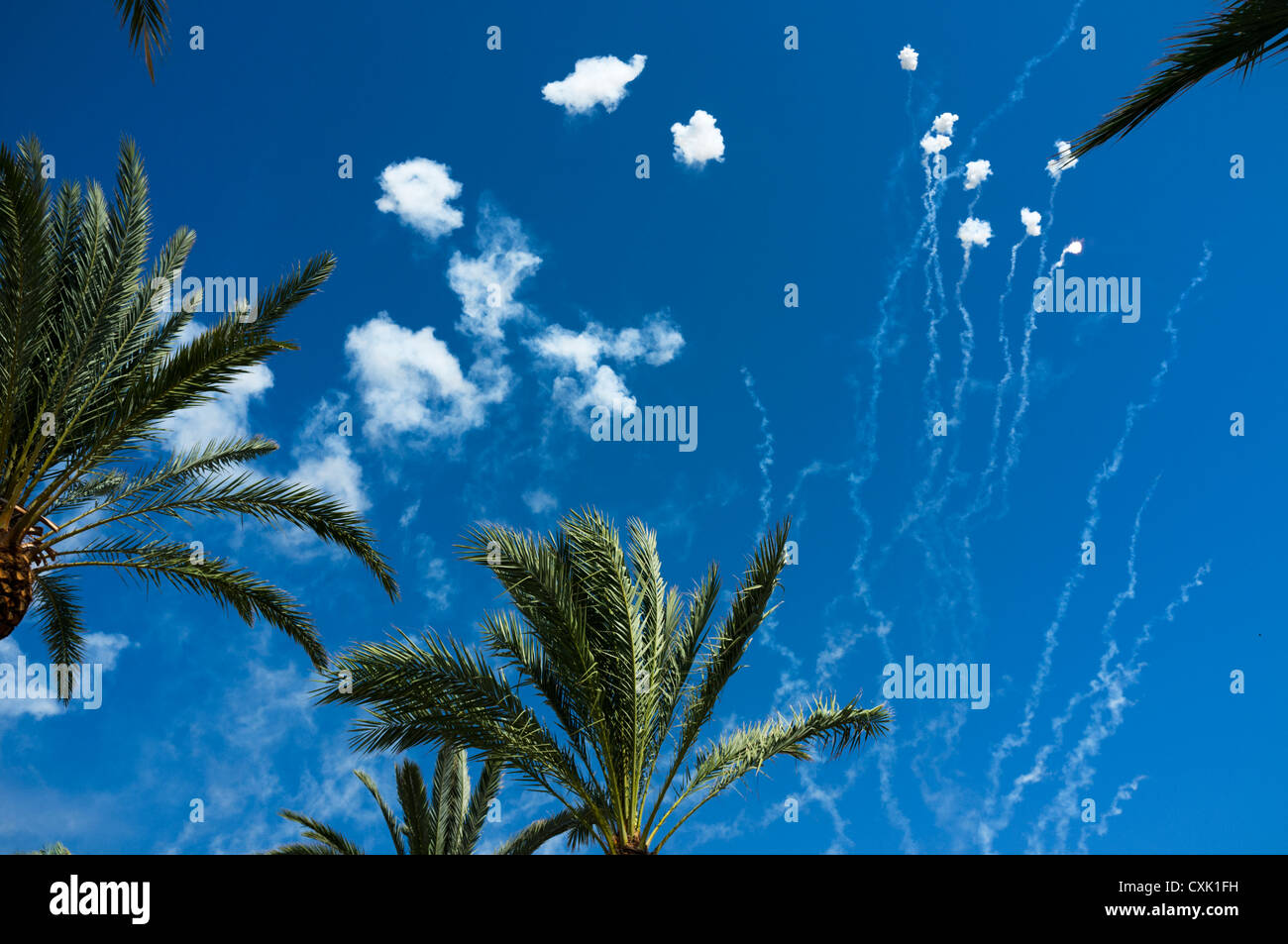 A mascaleta daytime firework display during a Spanish fiesta in Altea explodes between the palm fronds. Stock Photo