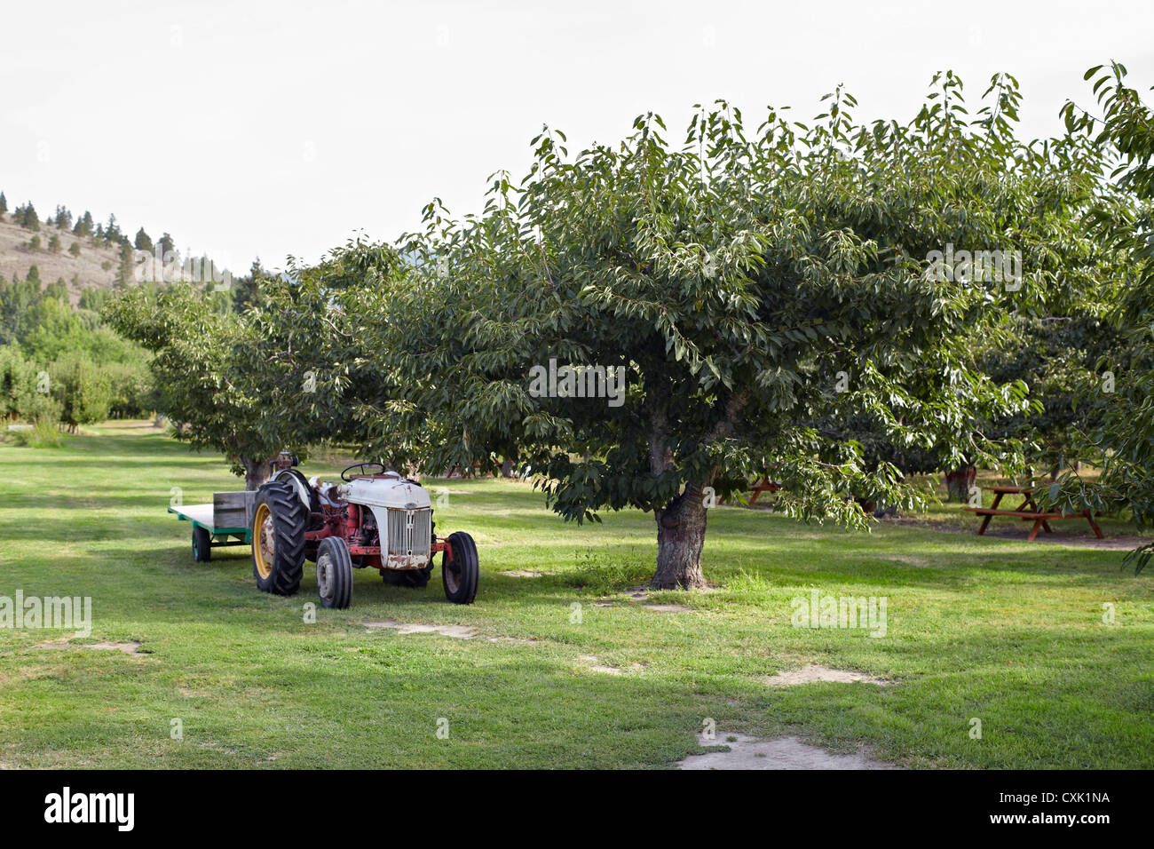 Cawston Bc British Columbia Canada High Resolution Stock Photography
