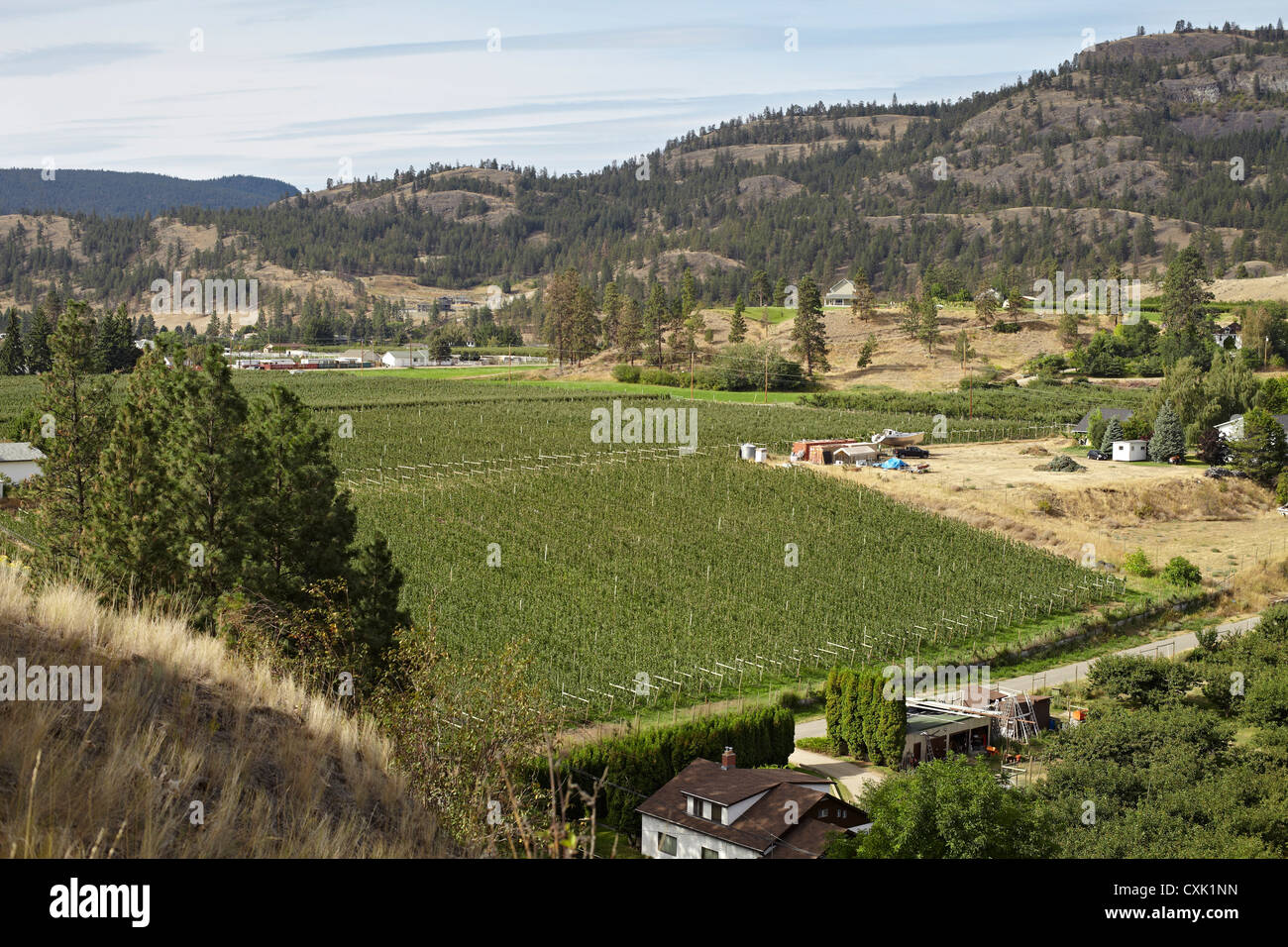 Farm land bc hires stock photography and images Alamy