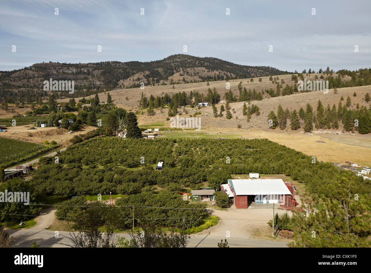 Fruit Farm and Mountains, Cawston, Similkameen Country, British