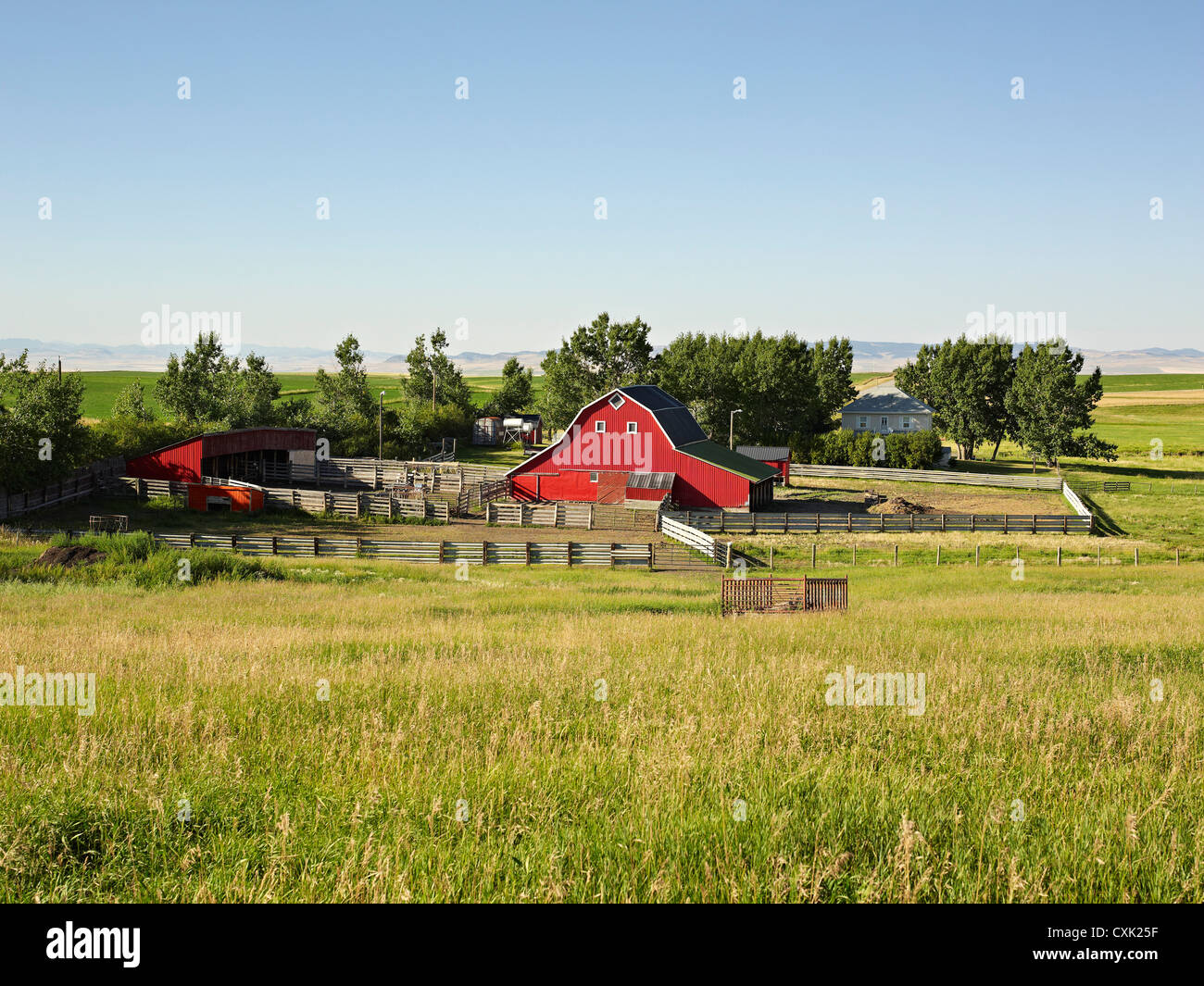 Farm, Pincher Creek, Alberta, Canada Stock Photo Alamy
