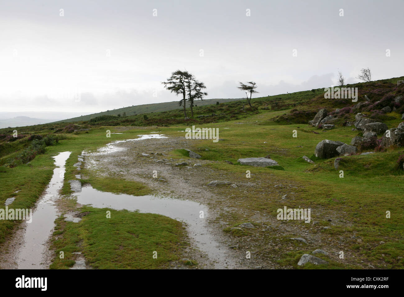 View of moorland near Haytor Rocks, with old tramway and quarried granite rocks, on a wet, grey day, Dartmoor National Park, UK Stock Photo