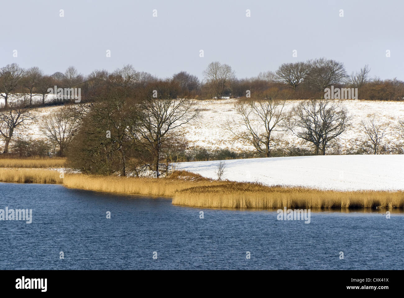 Winter landscape at the Ornumer Noor Stock Photo