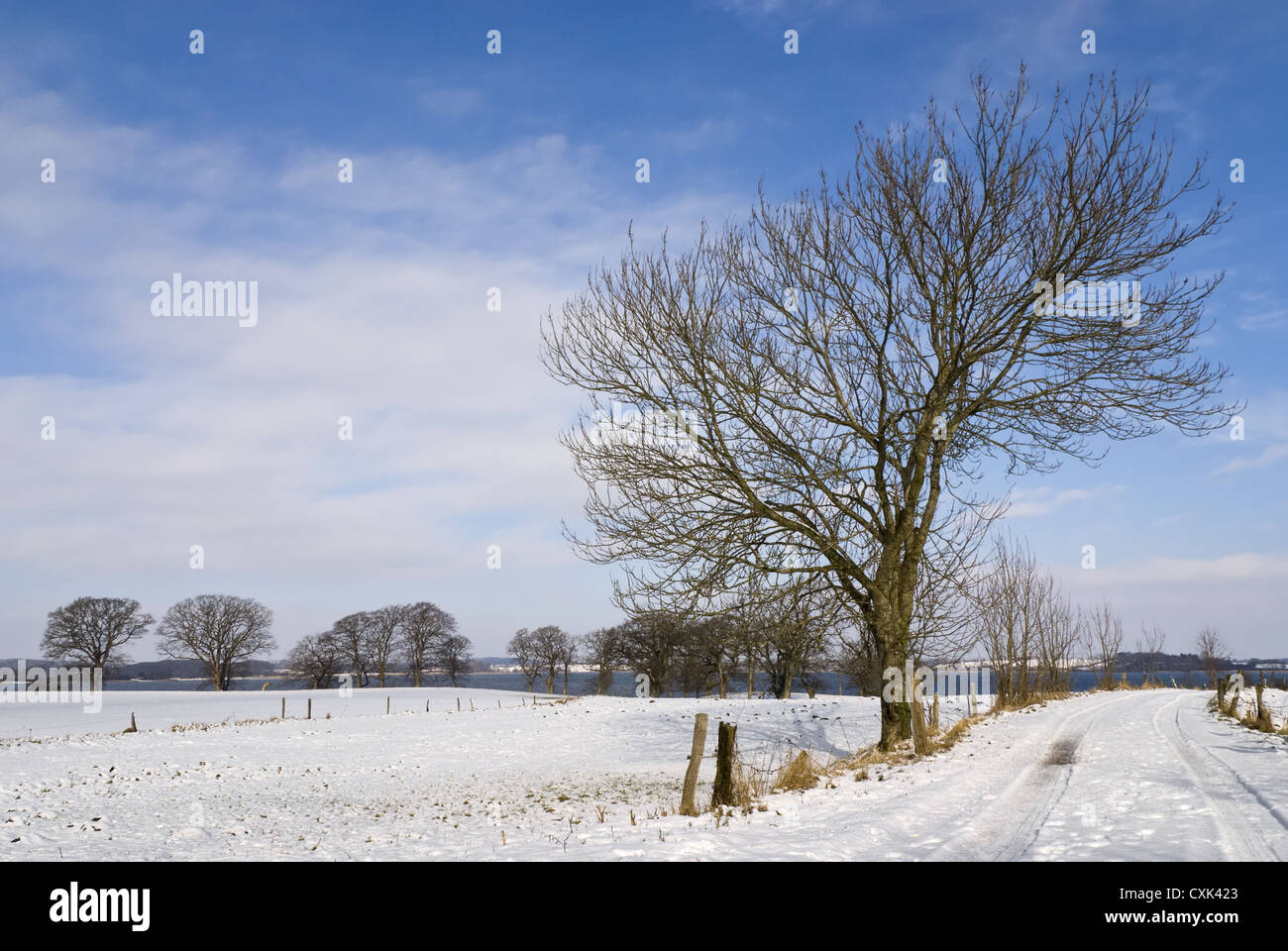 Winter landscape at the Schlei Stock Photo