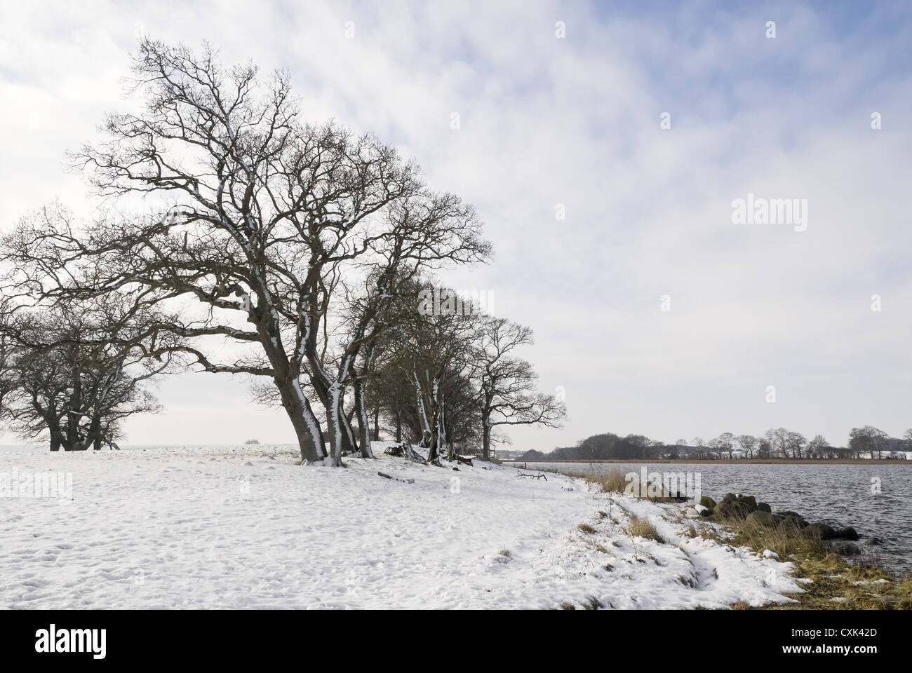 Winter landscape at the Schlei Stock Photo