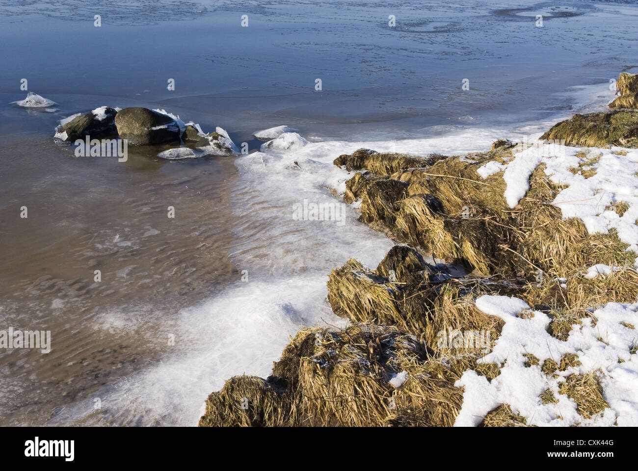 winterly shoreline at the Schlei Stock Photo