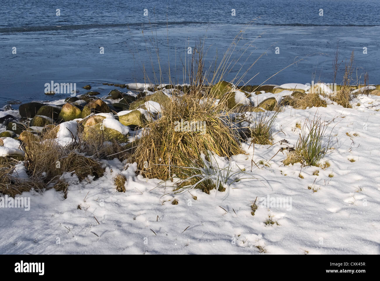 winterly shoreline at the Schlei Stock Photo