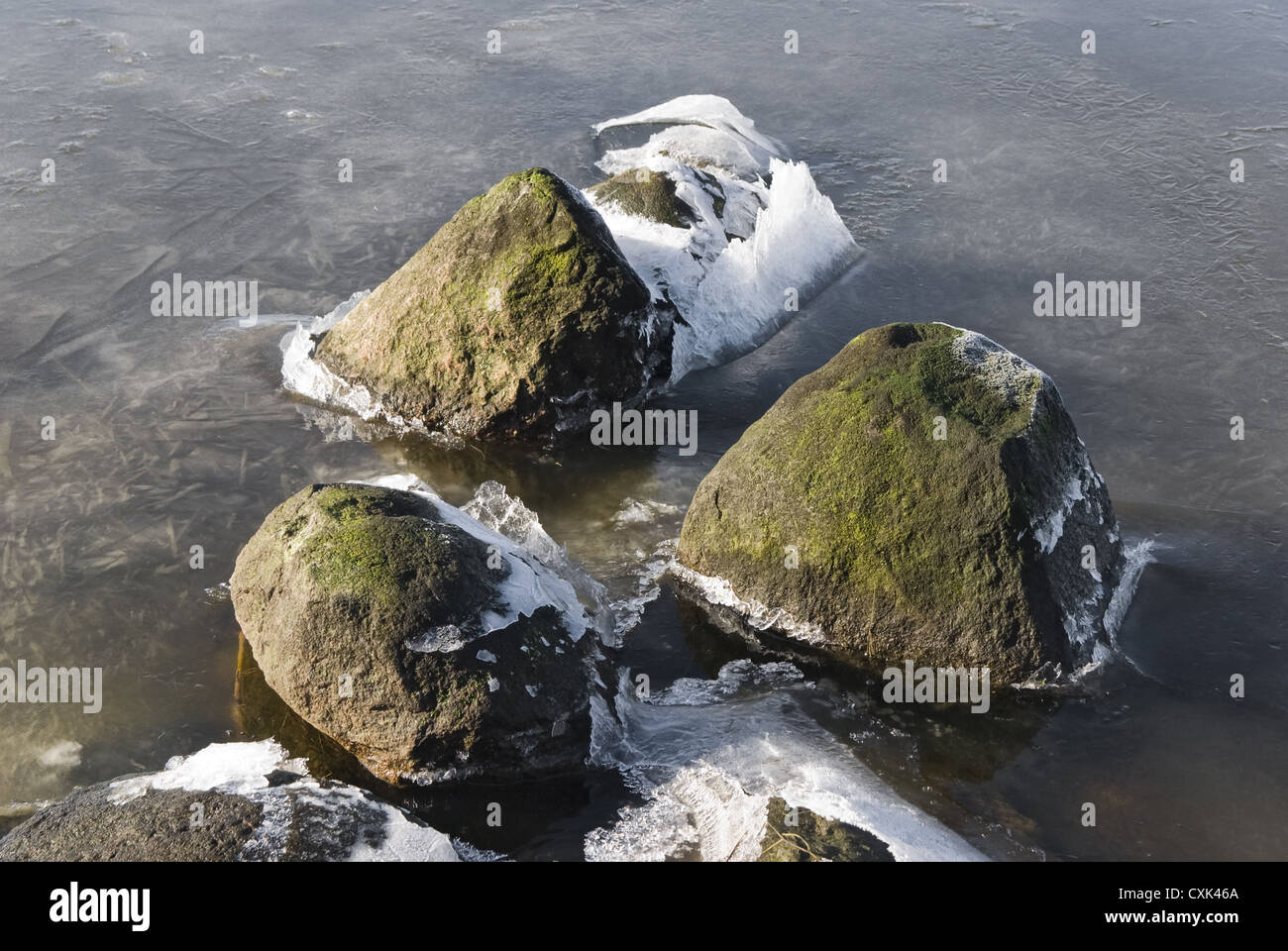 Stone in the water with ice crystals Stock Photo