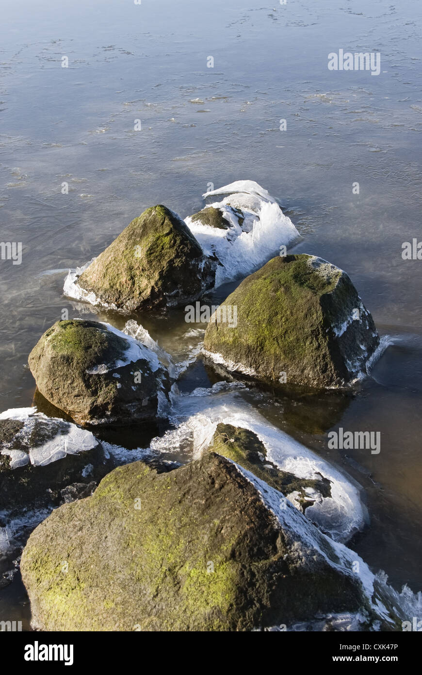 Stone in the water with ice crystals Stock Photo