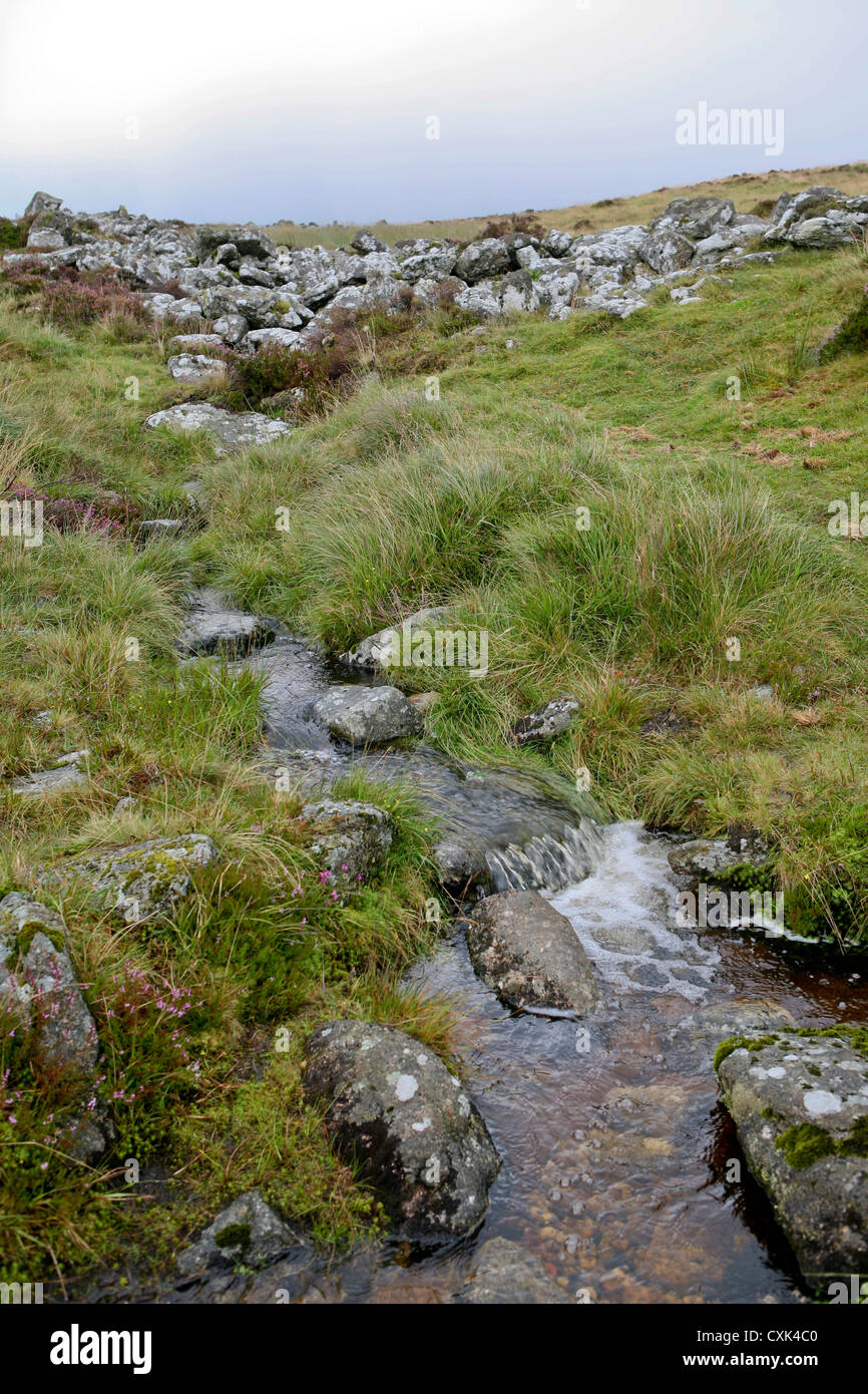 A small stream running down from the outer wall of Grimspound, a bronze age settlement in Dartmoor National Park Stock Photo