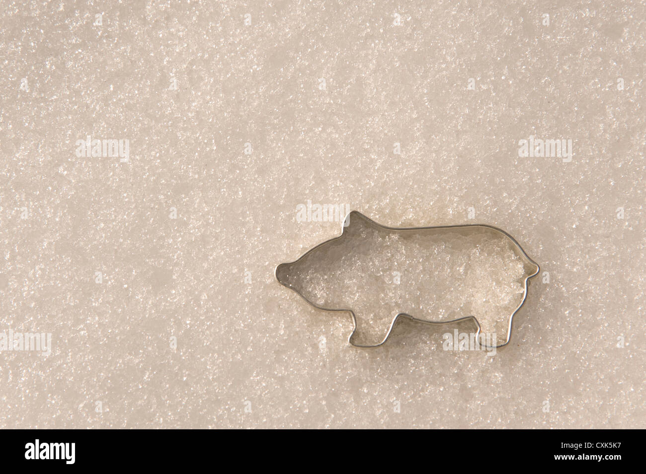 Pig-Shaped Cookie Cutter in Snow Stock Photo - Alamy