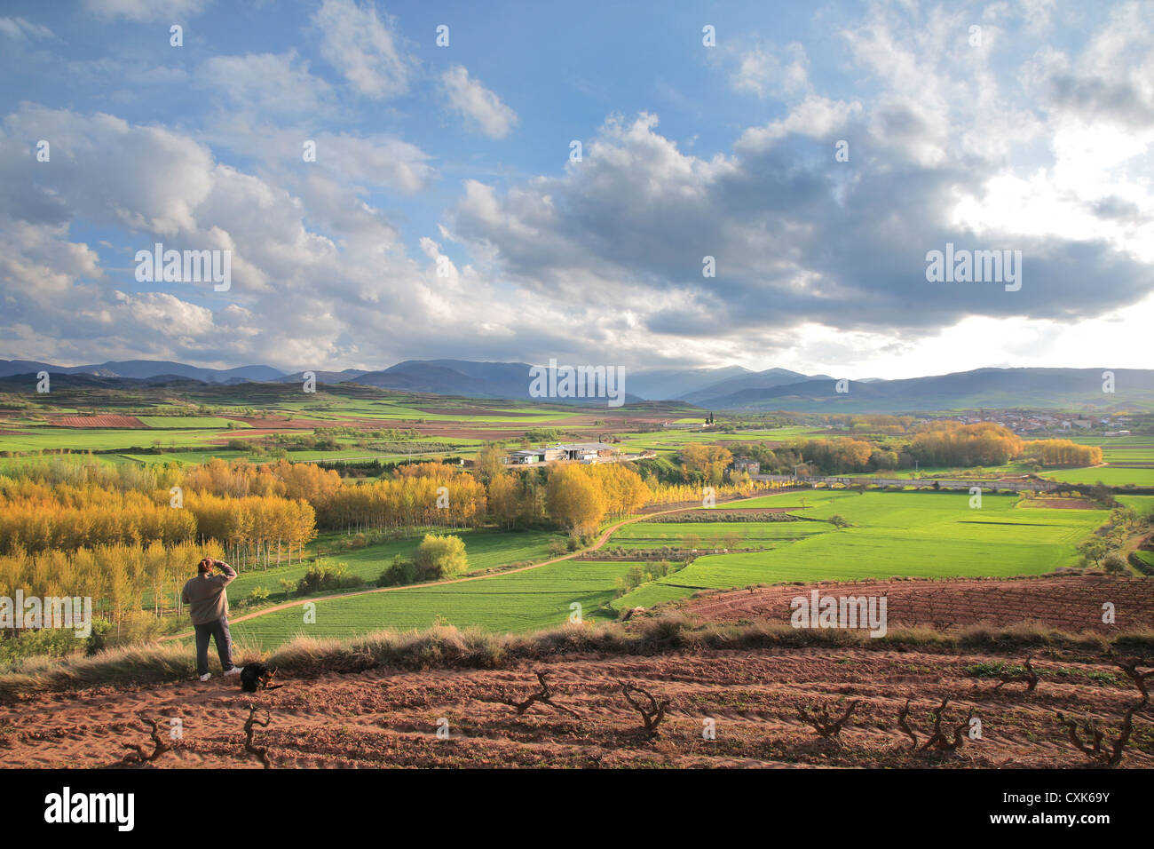 Cardenas valley, San Millan de la Cogolla, Badaran, Rioja wine region, Spain, Europe, Mediterranean, Stock Photo