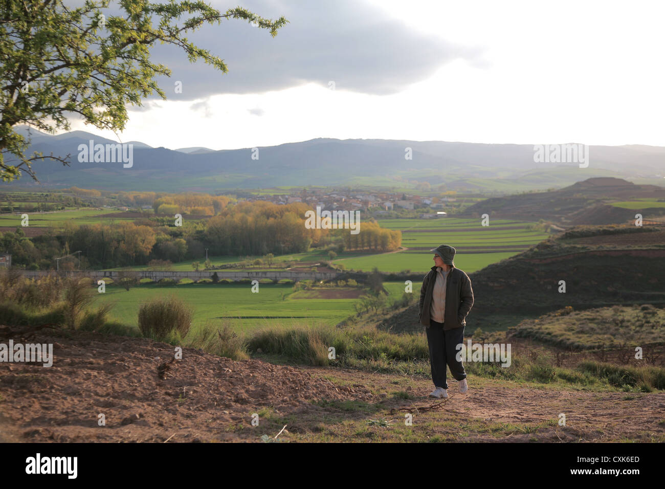 Cardenas valley, San Millan de la Cogolla, Badaran, Rioja wine region, Spain, Europe, Mediterranean, Stock Photo