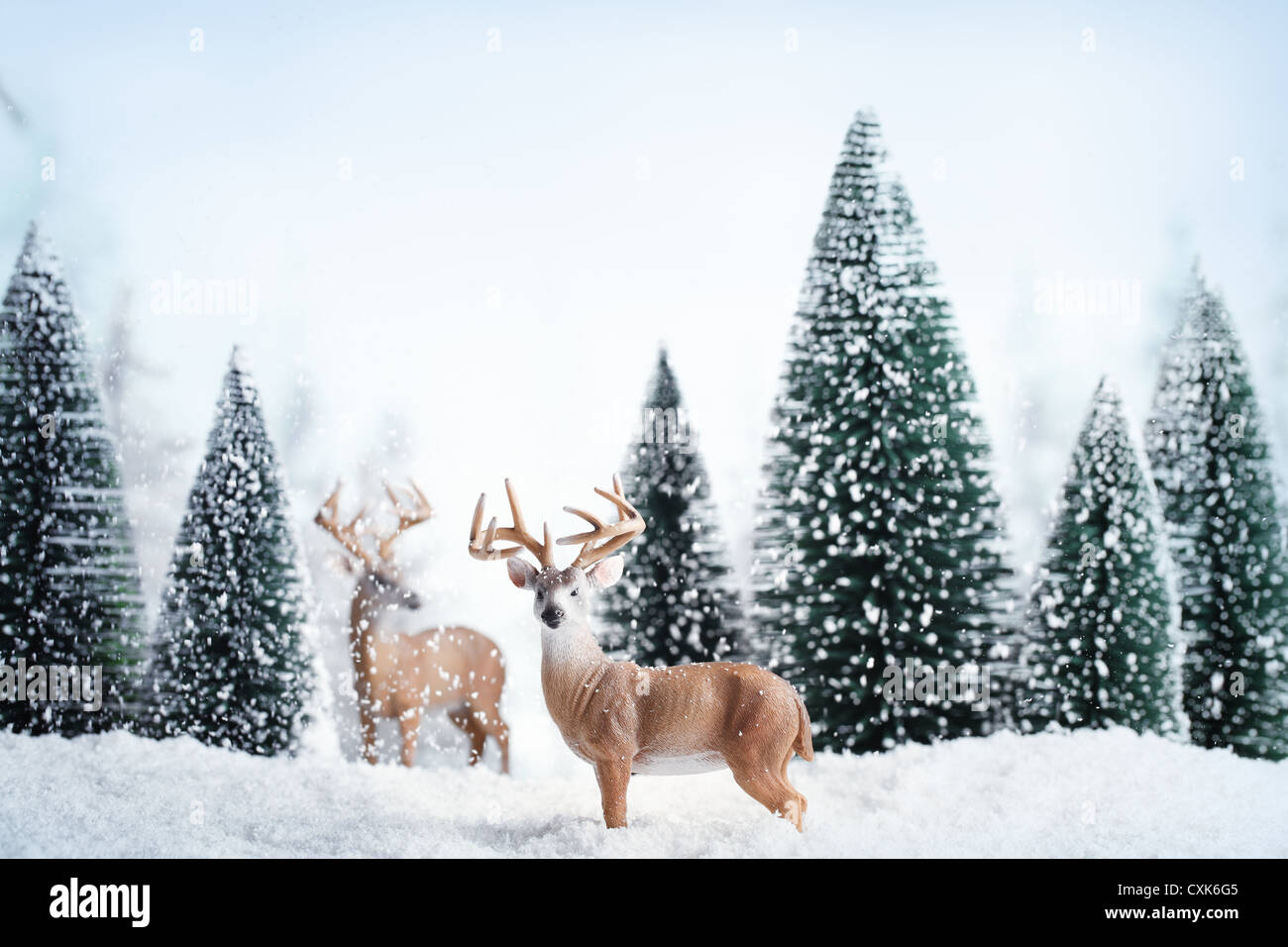 Winter landscape with deers,snow and fir tree. Stock Photo