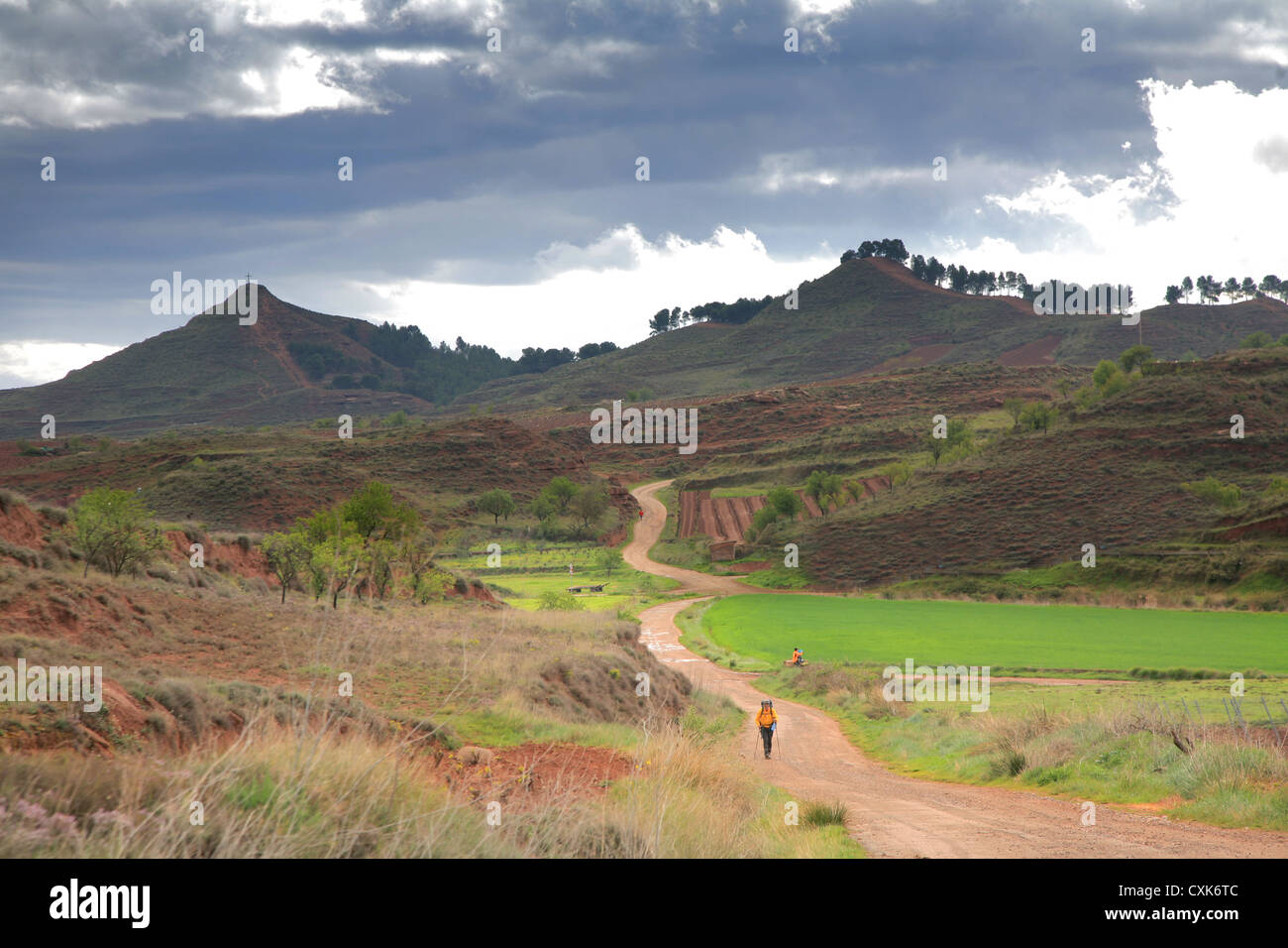 Santiago way, through Najera vinefields, Rioja wine region, Spain Stock Photo