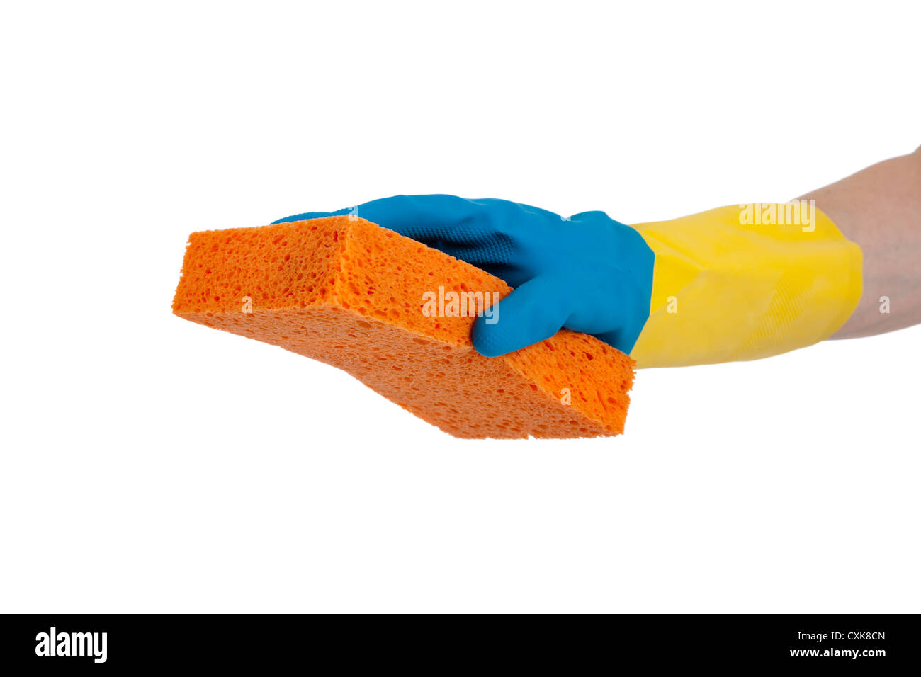 Blue and yellow rubber gloved hand with an orange sponge Stock Photo ...