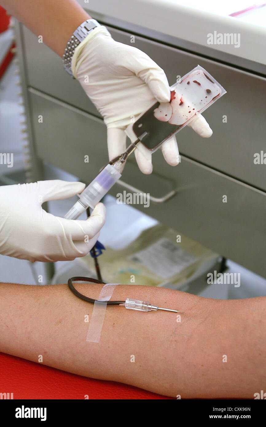 Blood donations for the Red Cross Stock Photo