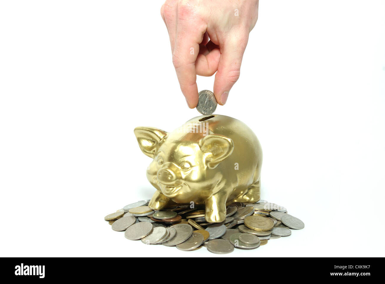 Hand inserting coin into piggy bank isolated on white Stock Photo - Alamy