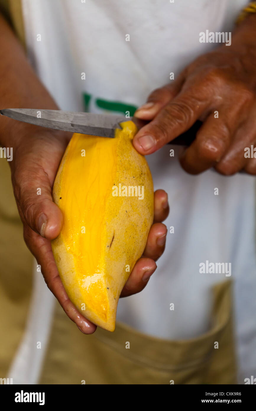 Cutting Mango on the Chatachuk Market in Bangkok, Thailand Stock Photo Alamy