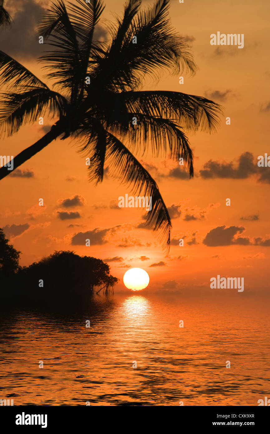 Sunset at the dream beach Stock Photo