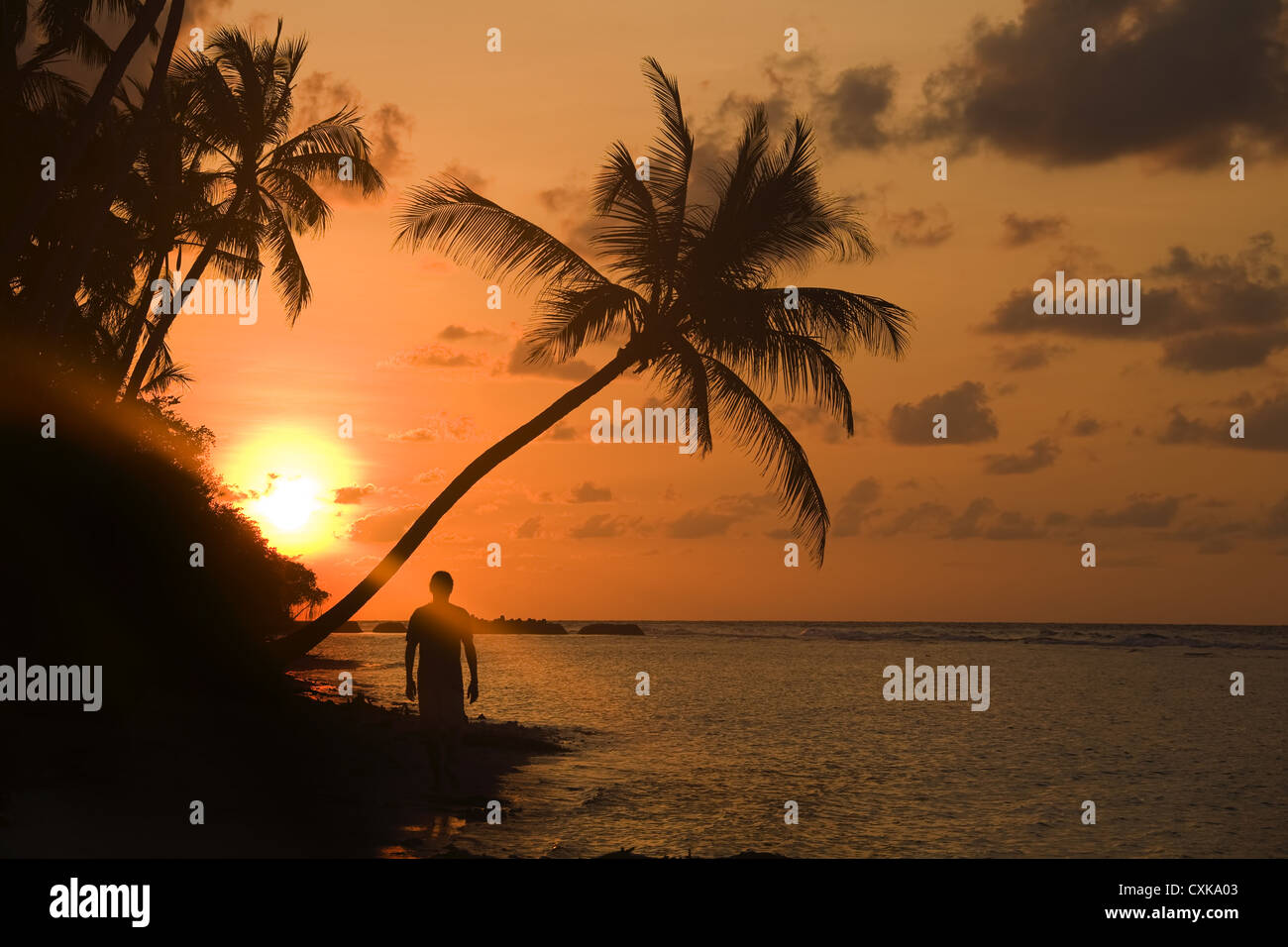 Sunset at the dream beach Stock Photo