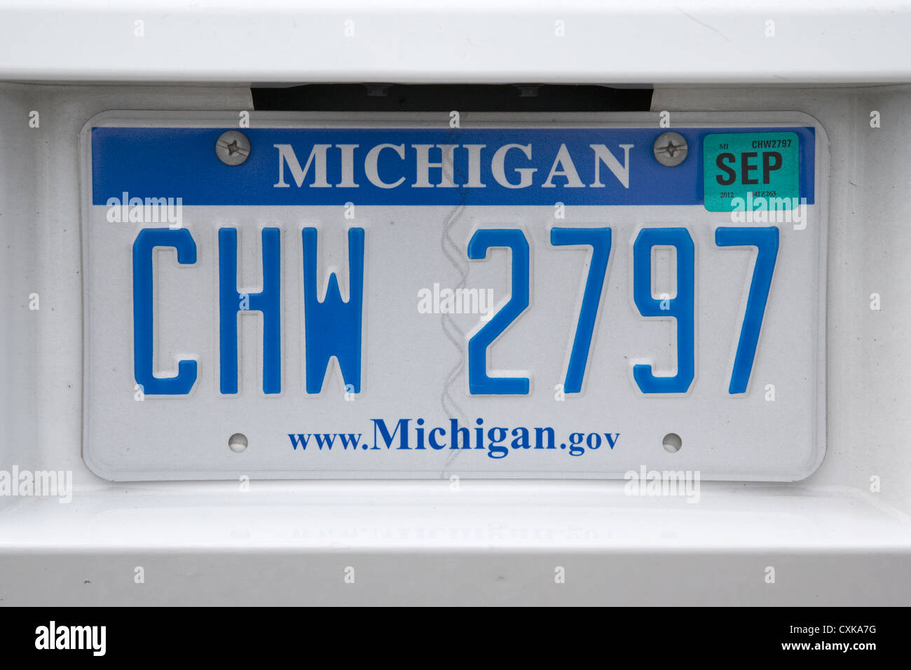 Michigan License Plate 2025 Dasie