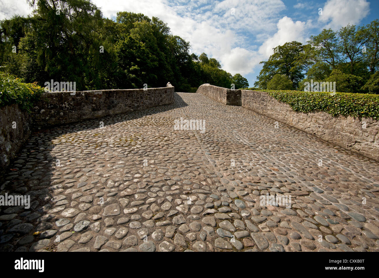 The Brig o' Doon single arched bridge over the River Doon, Alloway, Ayrshire. Scotland.   SCO 8570 Stock Photo