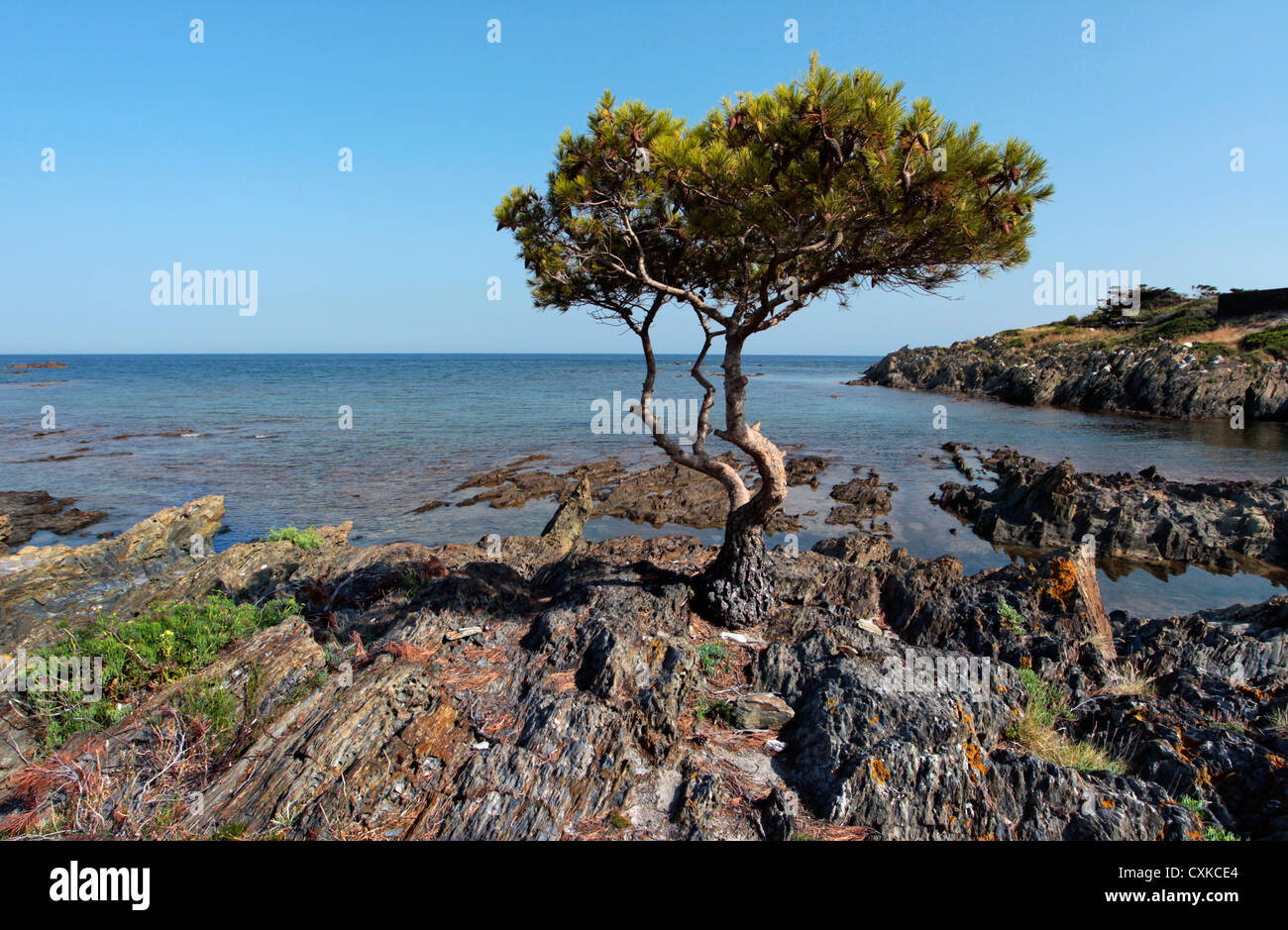 Coastline in Cap de Creus national park, Costa Brava, Catalonia, Spain Stock Photo Alamy
