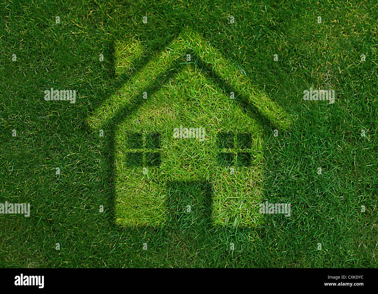 ecology concept, Green home green world. Stock Photo
