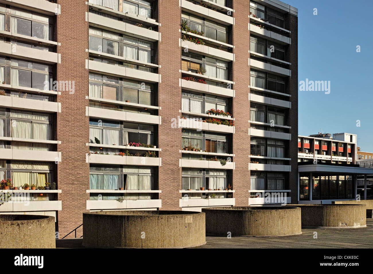 Social housing estate tower hi res stock photography and images Alamy