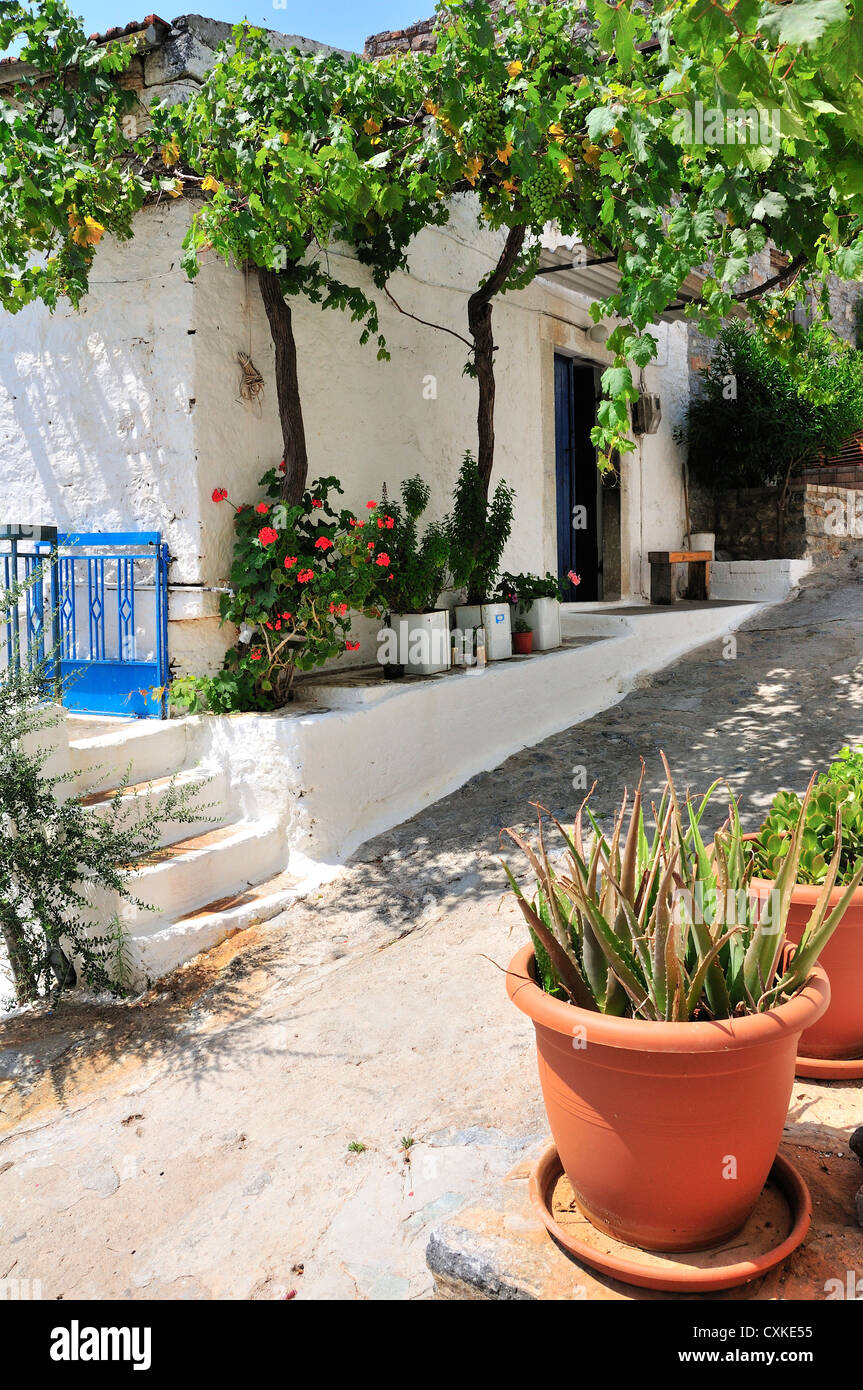 A refurbished house in an old street in the hill top village of Epano Elounda   above Elounda. Crete , Greece Stock Photo