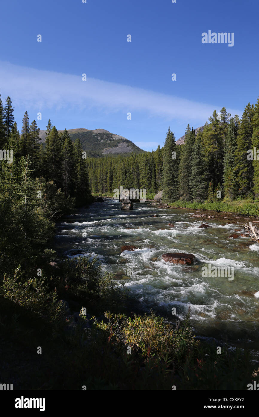 Water tumbles over rocks in the rocky Maligne River in Jasper National ...