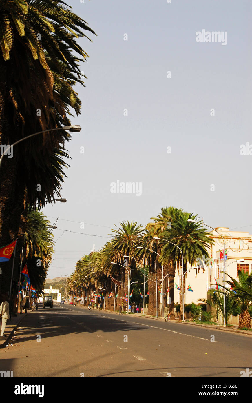 Eritrea, Asmara, trees lined on an empty street Stock Photo