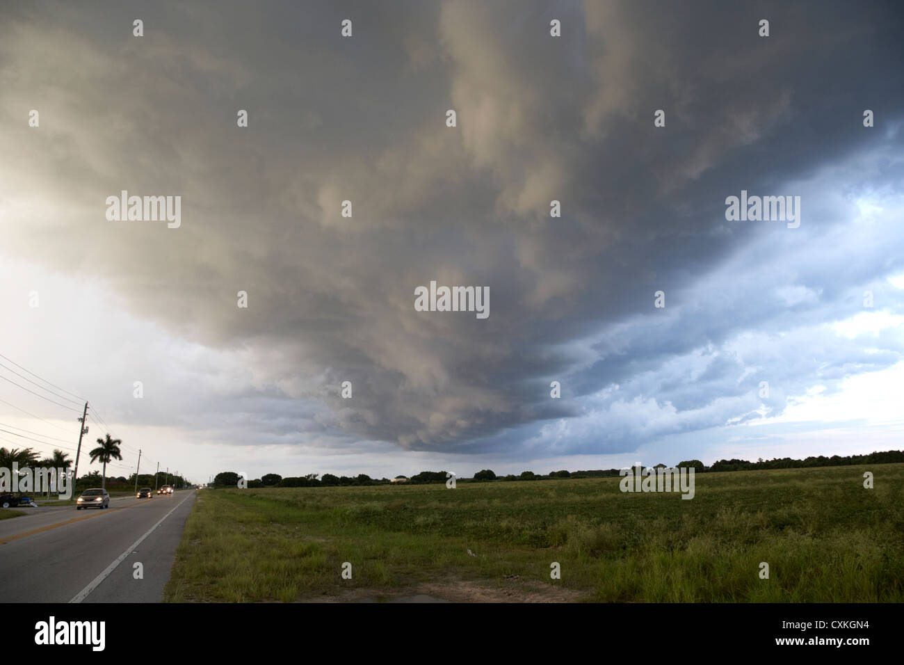 arcus cloud shelf cloud formation preceding a thunderstorm on farmland near the florida everglades usa Stock Photo