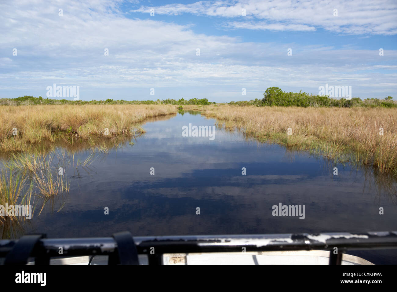 on board an airboat ride in the grasslands everglades city florida everglades usa Stock Photo