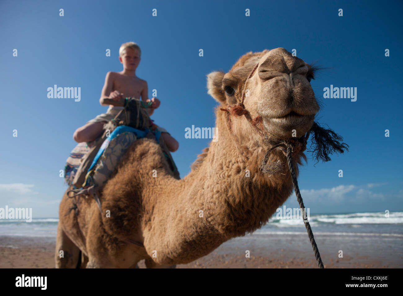 Boy riding camel hi-res stock photography and images - Alamy