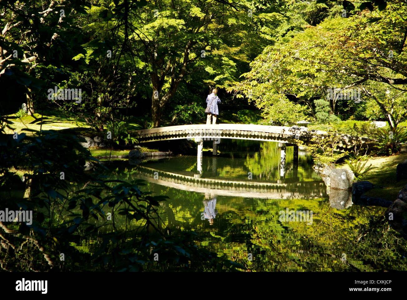 Early autumn foliage on trees wooden bridge reflection in pond at Nitobe Japanese Gardens UBC Vancouver Stock Photo