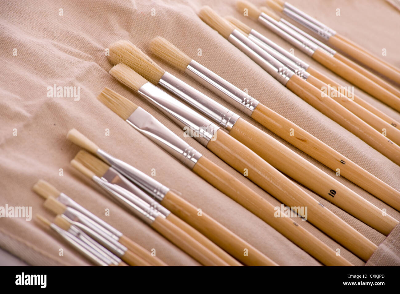 A set of artist paint brushes on canvas carrying case Stock Photo Alamy