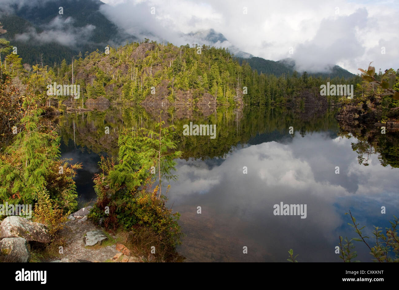 Larry lake hi-res stock photography and images - Alamy