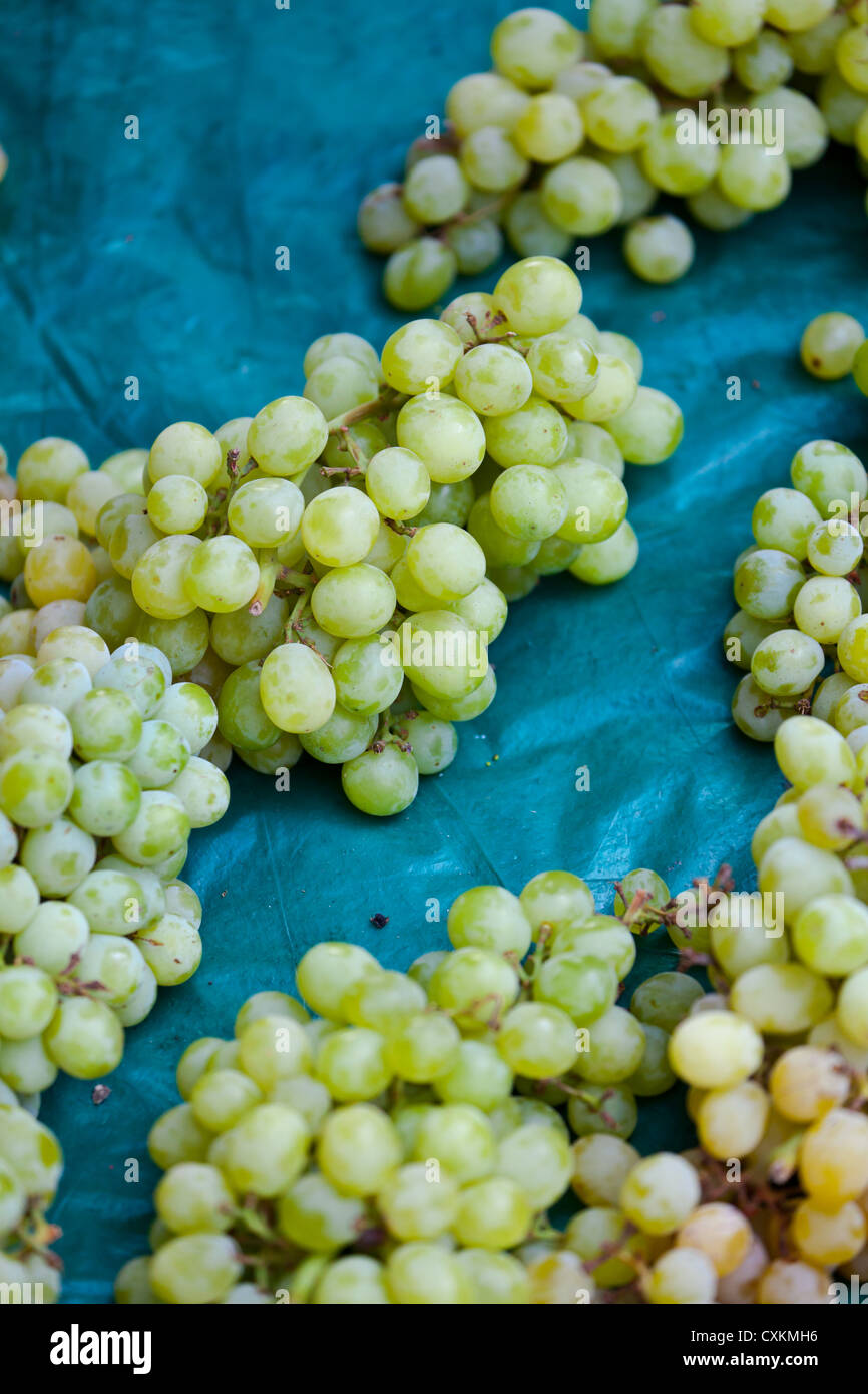 Bunches of Grapes on a Market in Kolkata in India Stock Photo